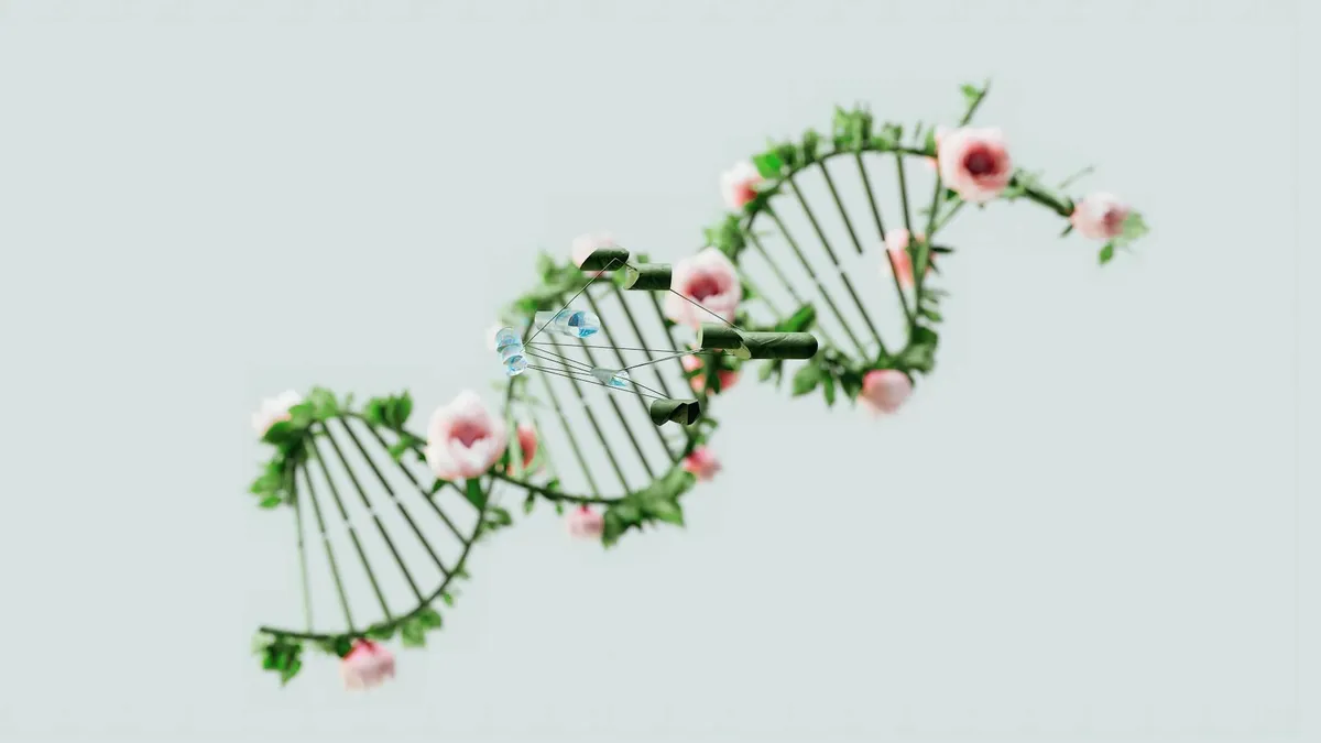 Connecting Source Energy — Metaphysical health practice