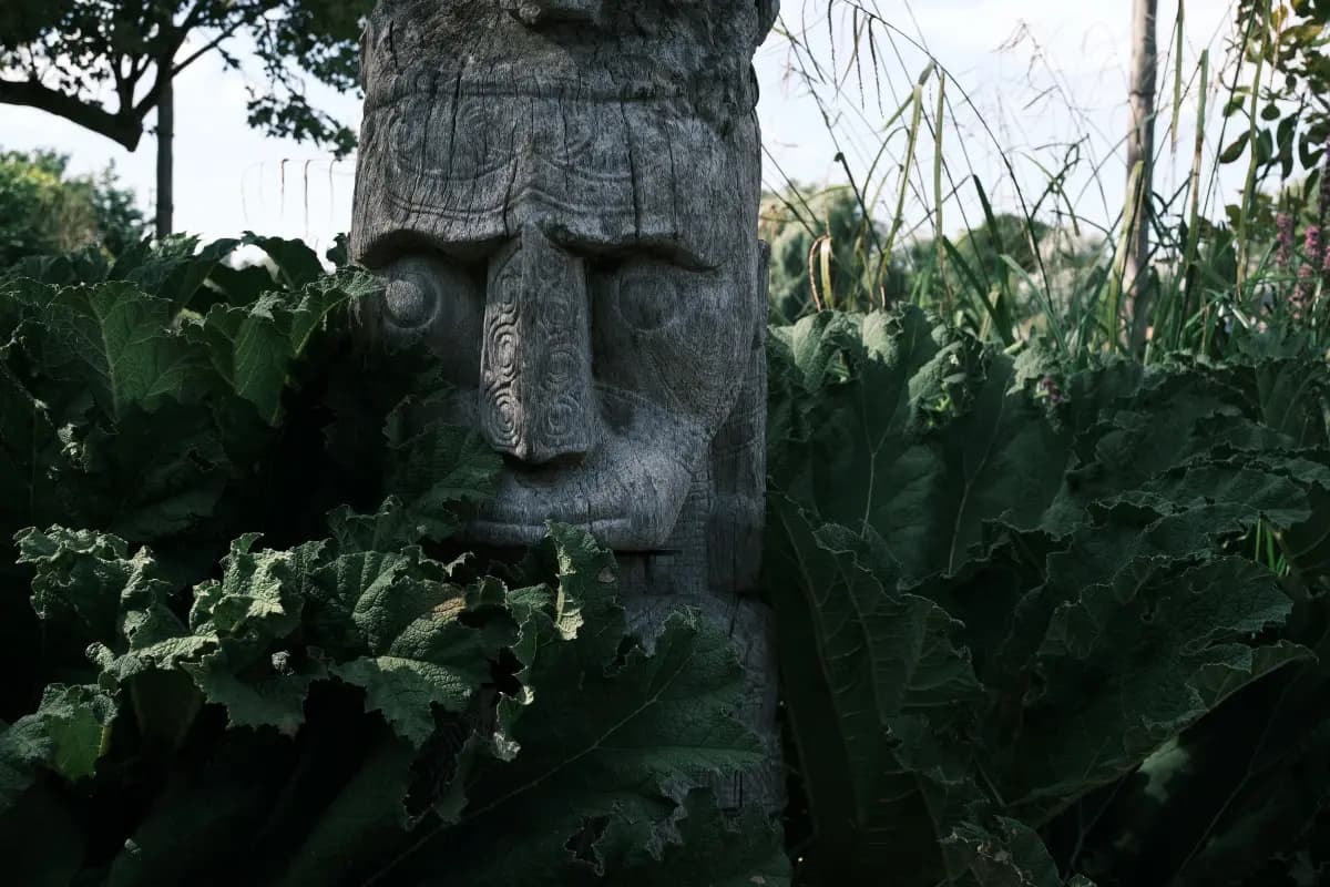 Rongoā Māori — Holistic health practice