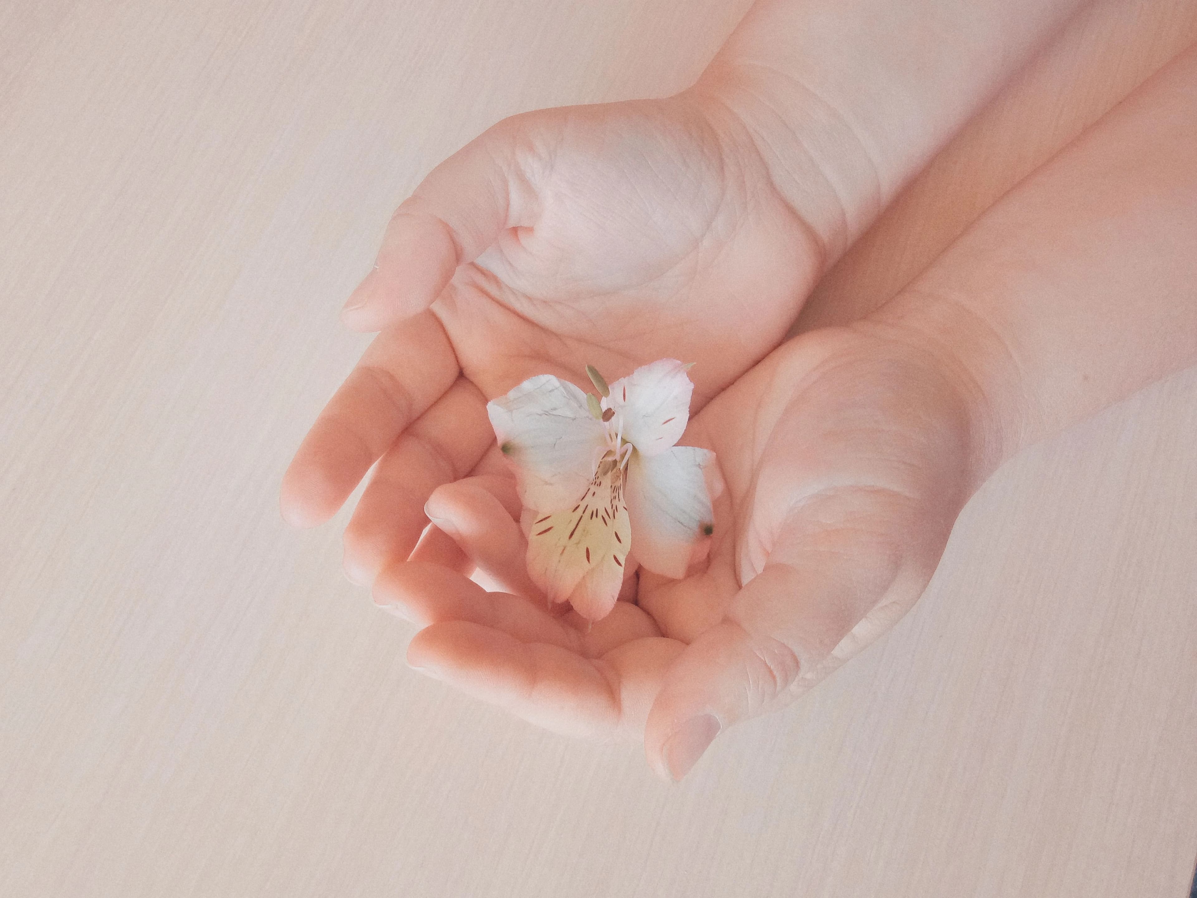 Touch for Health — Complementary health practice