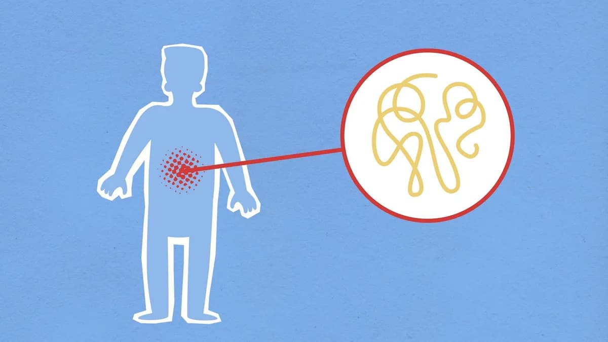 Liver Inflammation — health symptom