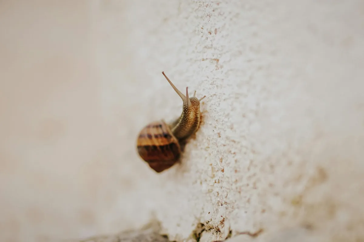 Slow Thinking — health symptom